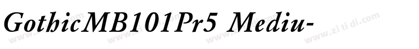 GothicMB101Pr5 Mediu字体转换